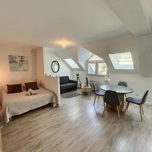  Appartement Magnifique T1 Bis Triangle D Or - Parking - Wifi France